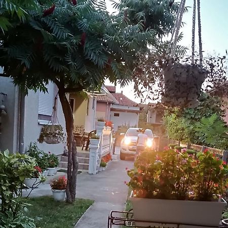 Apartman "Dom Stankovica" Pirot Exterior foto