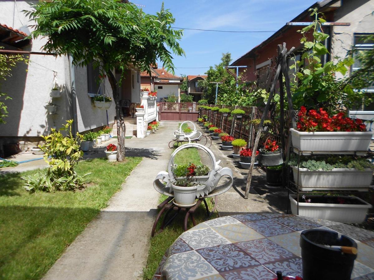 Apartman "Dom Stankovica" Pirot Exterior foto