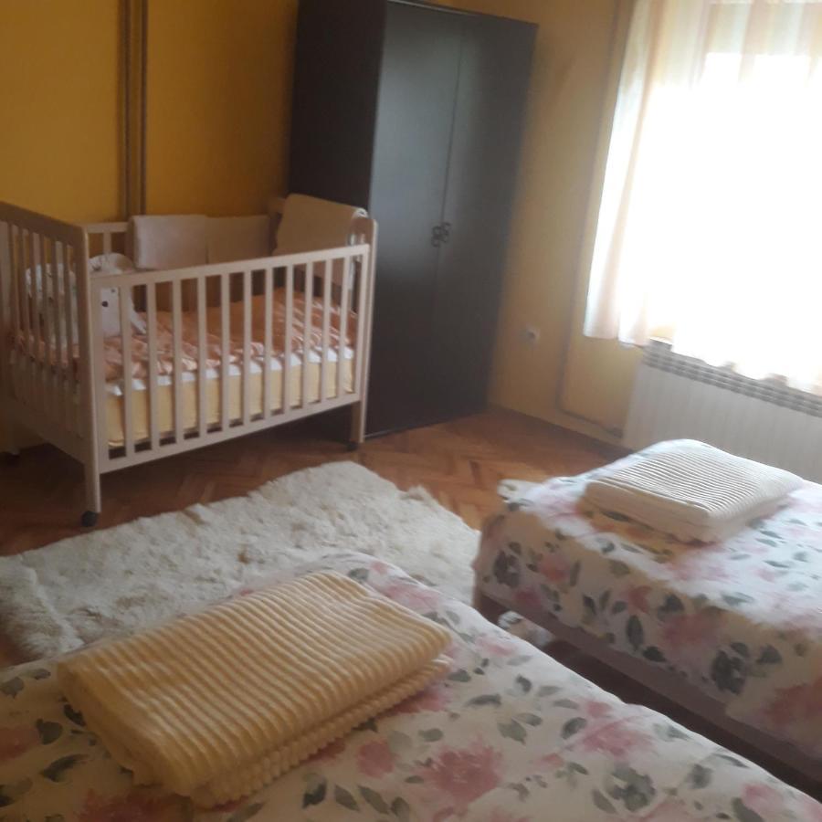 Apartman "Dom Stankovica" Pirot Exterior foto