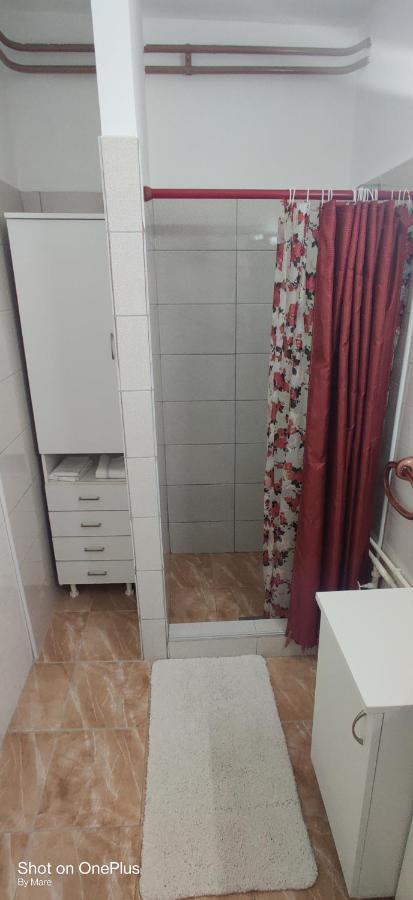Apartman "Dom Stankovica" Pirot Exterior foto