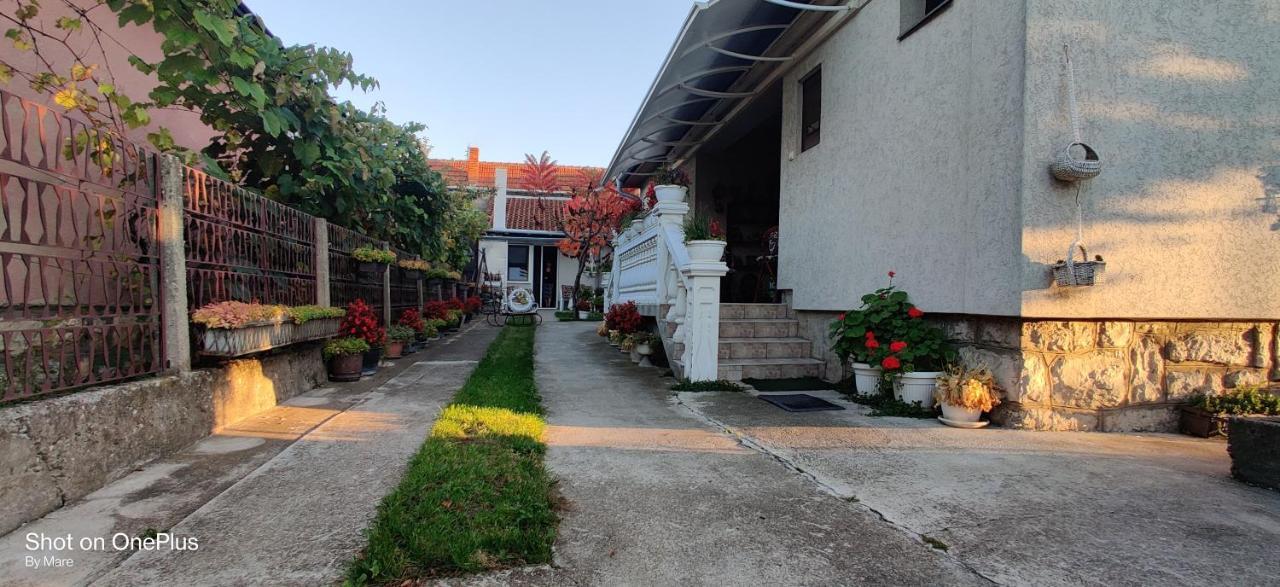 Apartman "Dom Stankovica" Pirot Exterior foto