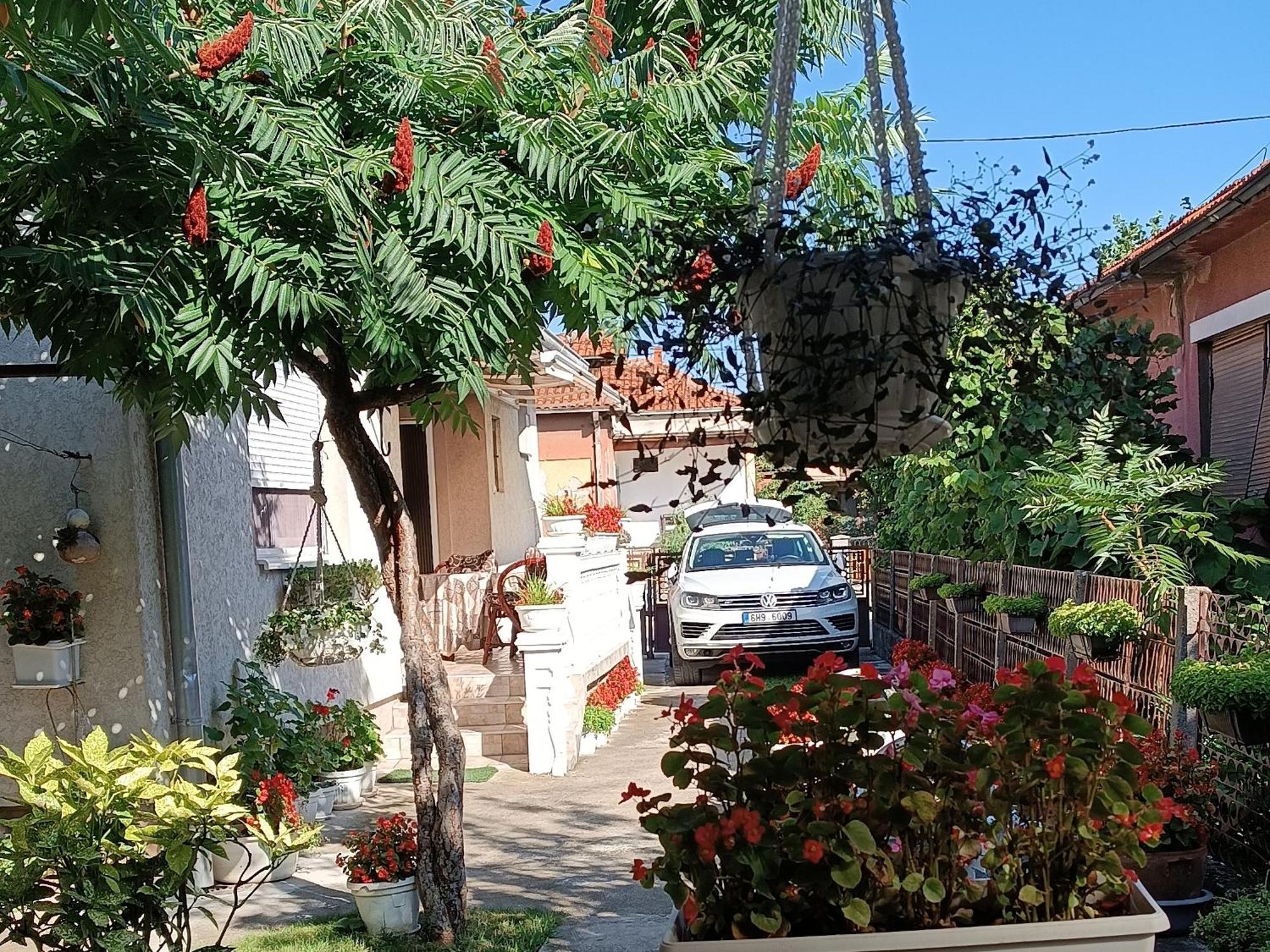 Apartman "Dom Stankovica" Pirot Exterior foto